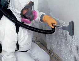 Best Crawl Space Mold Remediation  in Woodlands, CA